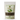Cardamom Tea Brooklane