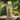 Bottle of Brooklane Citriodora Oil on a natural background