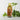 Bottle of Brooklane Citronella Oil with green leaves on a light background