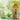 Bottle of Brooklane Olive Oil with olive leaves on a blurred green background