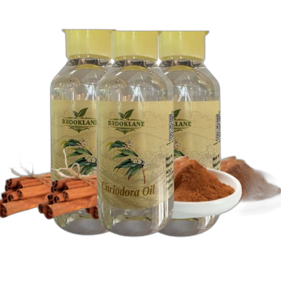 Pack of 3