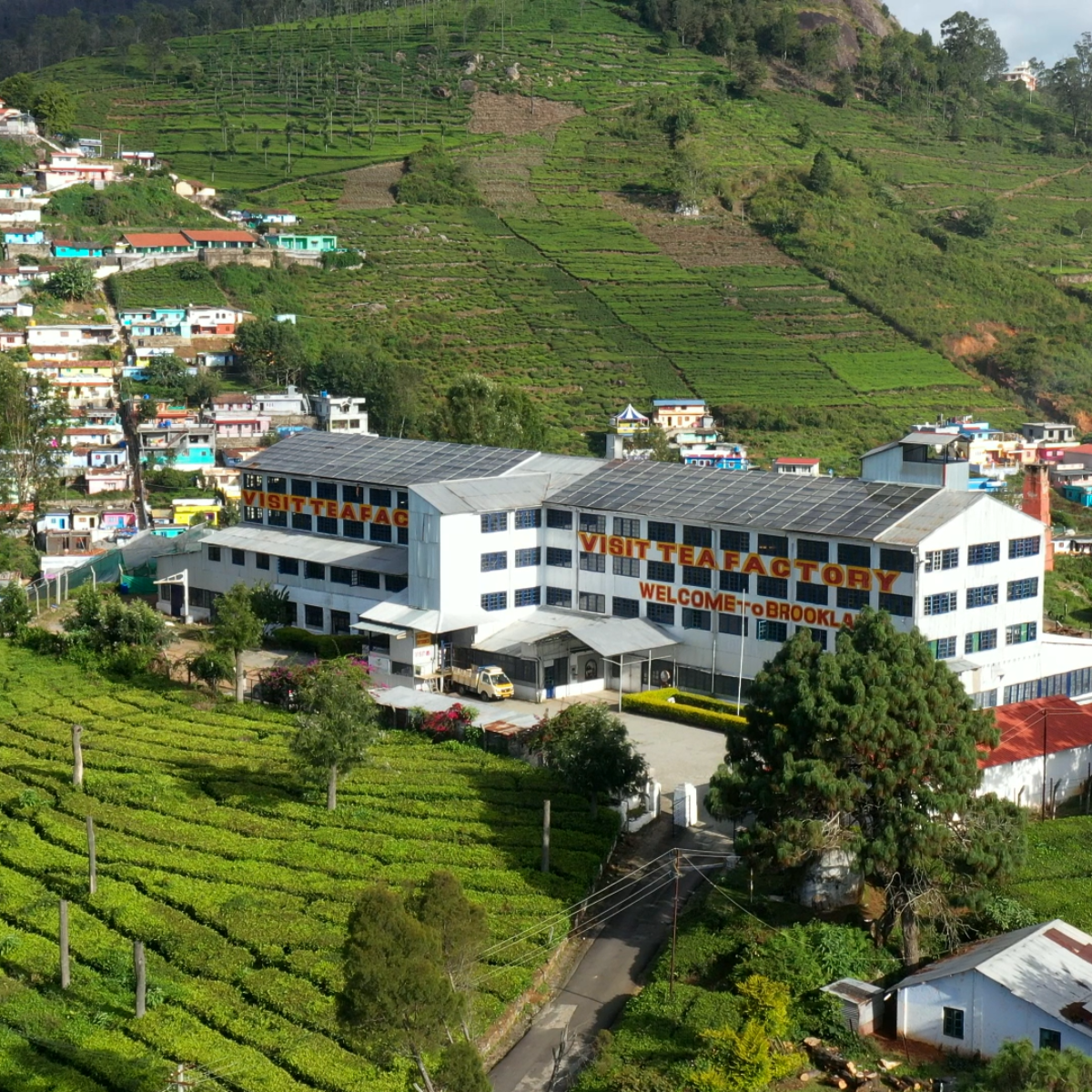 Brooklane Tea Factory Coonoor