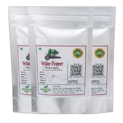 Pack of 3